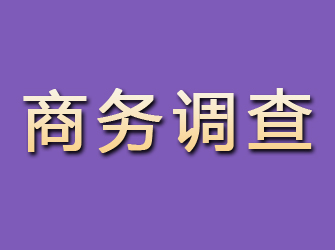 镇赉商务调查